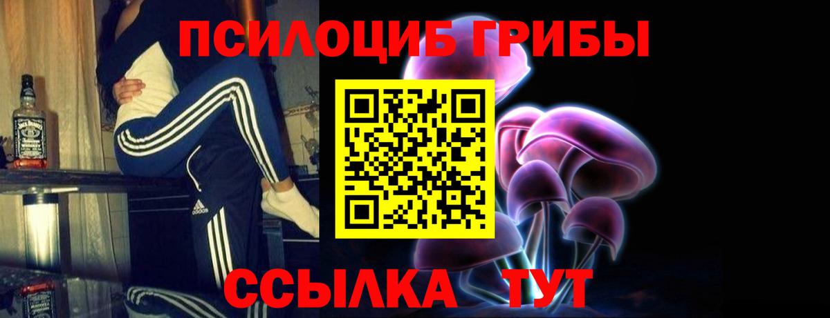 Псилоцибиновые грибы Cubensis Баксан